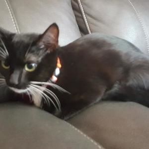 Meet your Posher, Daniela